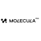 Molecula