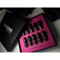 Set of pigments Leader by Druzhinina