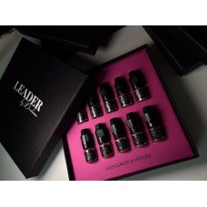 Набір пігментів Leader by Druzhinina