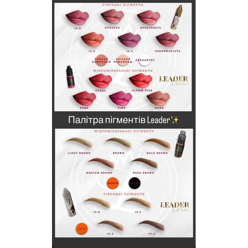 Пігмент Leader by Druzhinina 10.01
