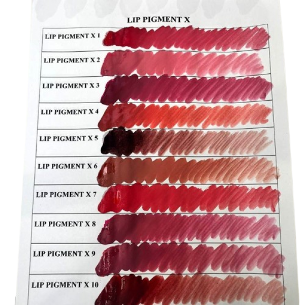 Пігмент-гібрид Leader LIP PIGMENT X3