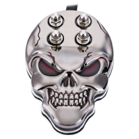 Metal pedal with Skull