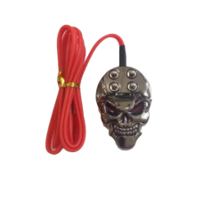 Metal pedal with Skull