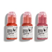Perma Blend Tattoo Set - Mauve Lip Mini Set