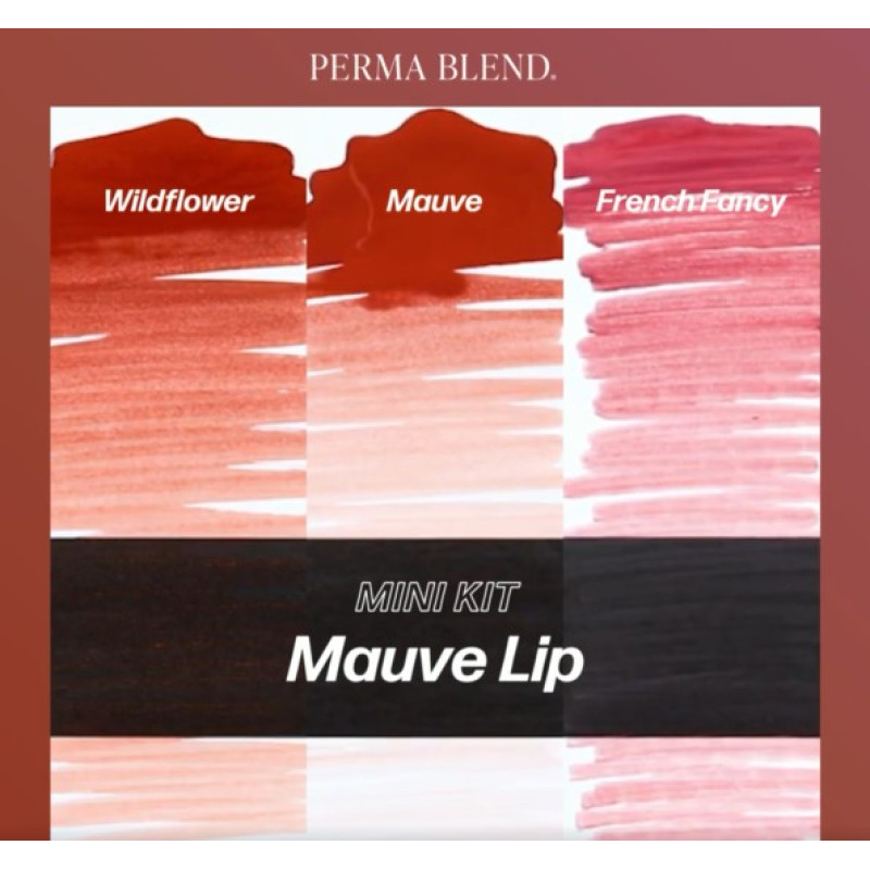 Perma Blend Tattoo Set - Mauve Lip Mini Set