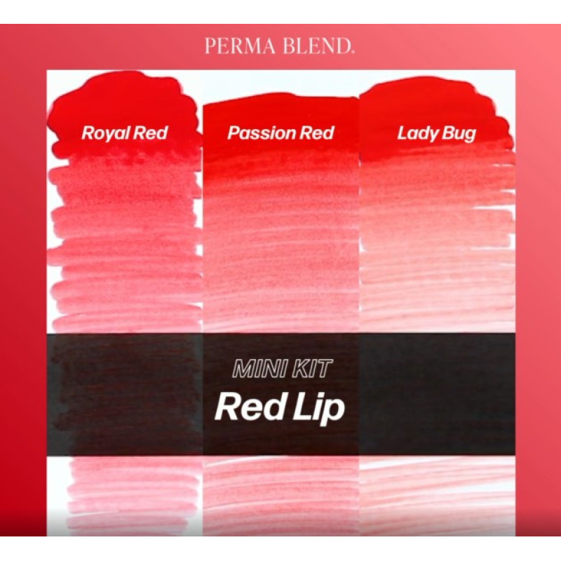 Perma Blend Tattoo Set - Red Lip Mini Set
