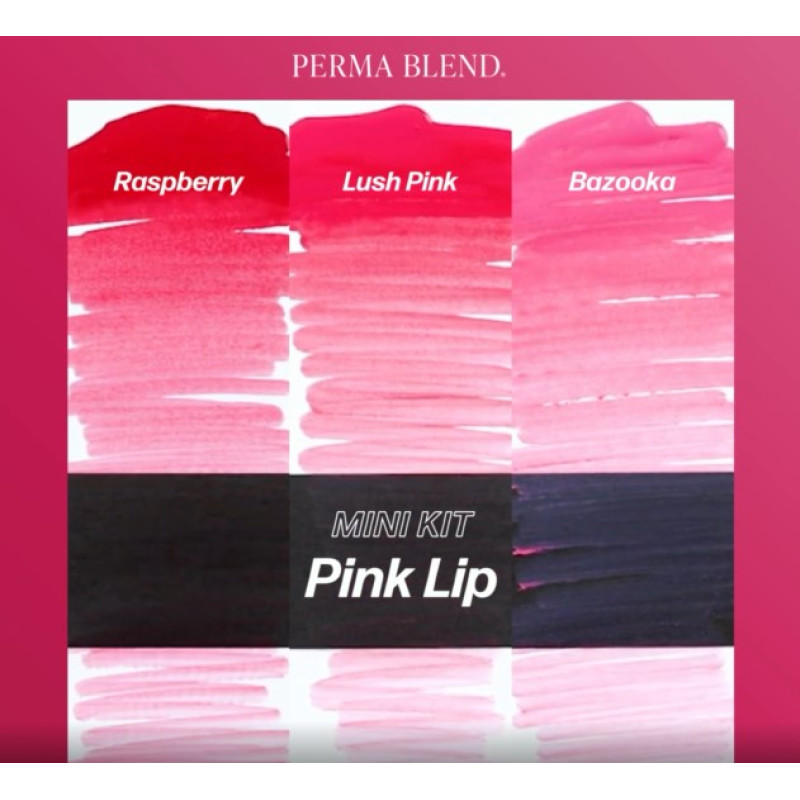 Набор для татуажа Perma Blend - Pink Lip Mini Set