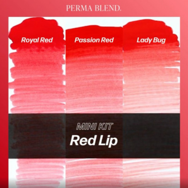 Perma Blend Tattoo Set - Red Lip Mini Set