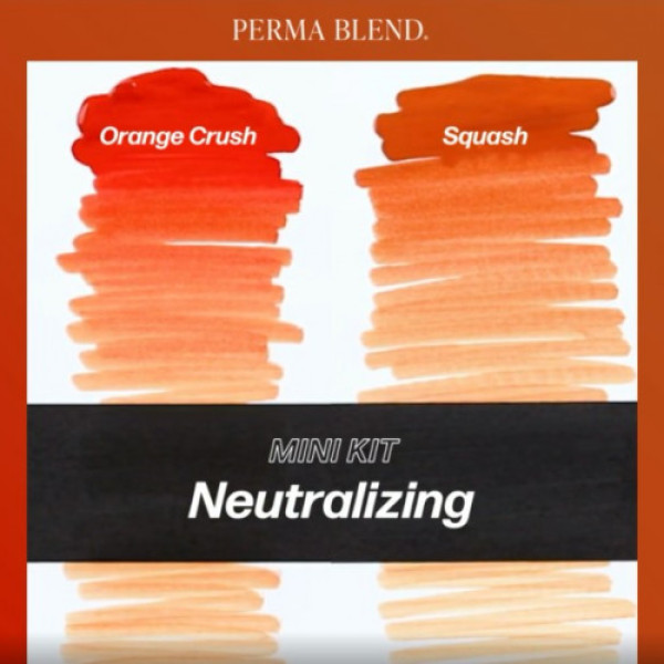 Набір для татуажу Perma Blend - Neutralizing Mini Set