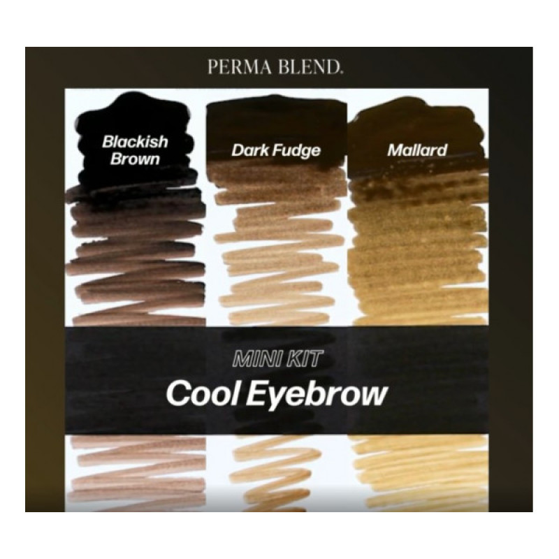 Набор для татуажа Perma Blend - Cool Eyebrow Mini Set