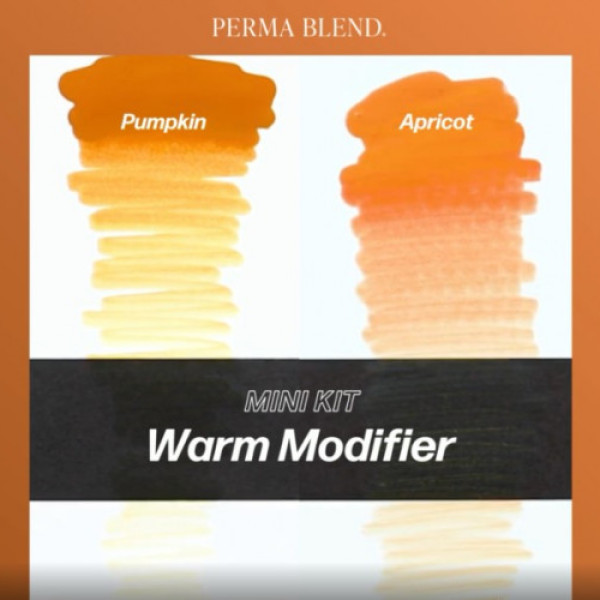 Набір для татуажу Perma Blend - Warm Modifier Eyebrow Mini Set