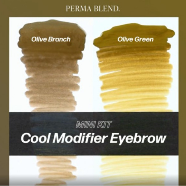 Набор для татуажа Perma Blend - Cool Modifier Eyebrow Mini Set