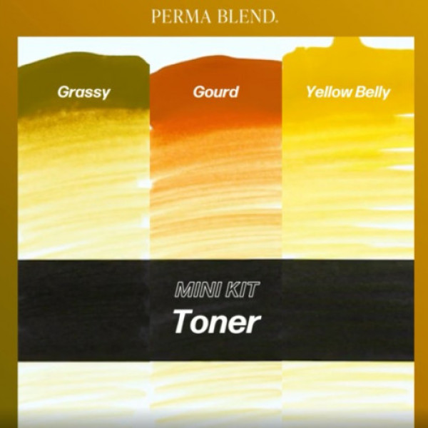 Набор для татуажа Perma Blend - Toner Mini Set