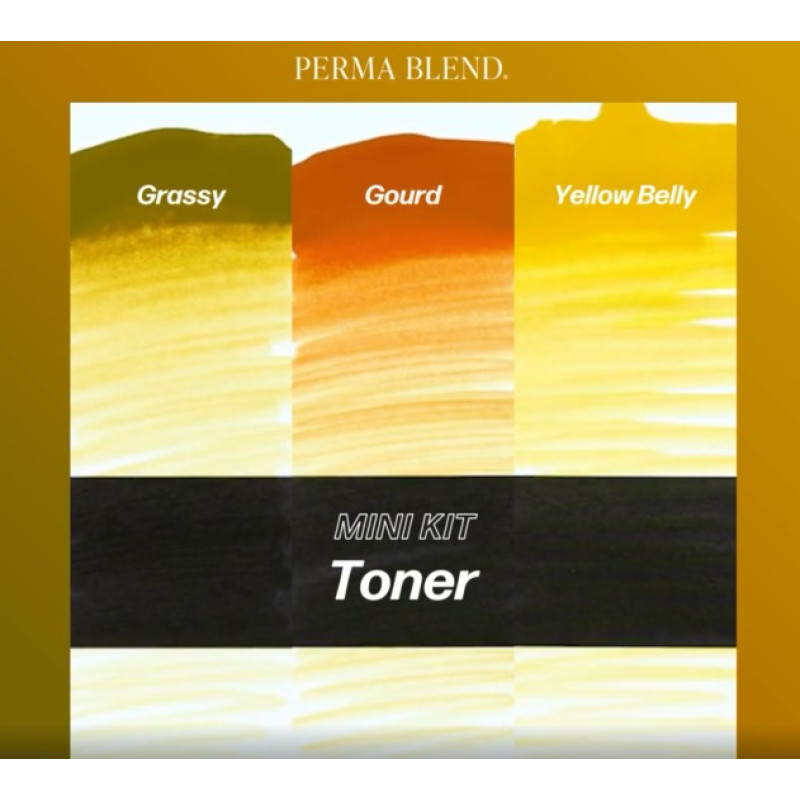 Perma Blend Tattoo Set - Toner Mini Set