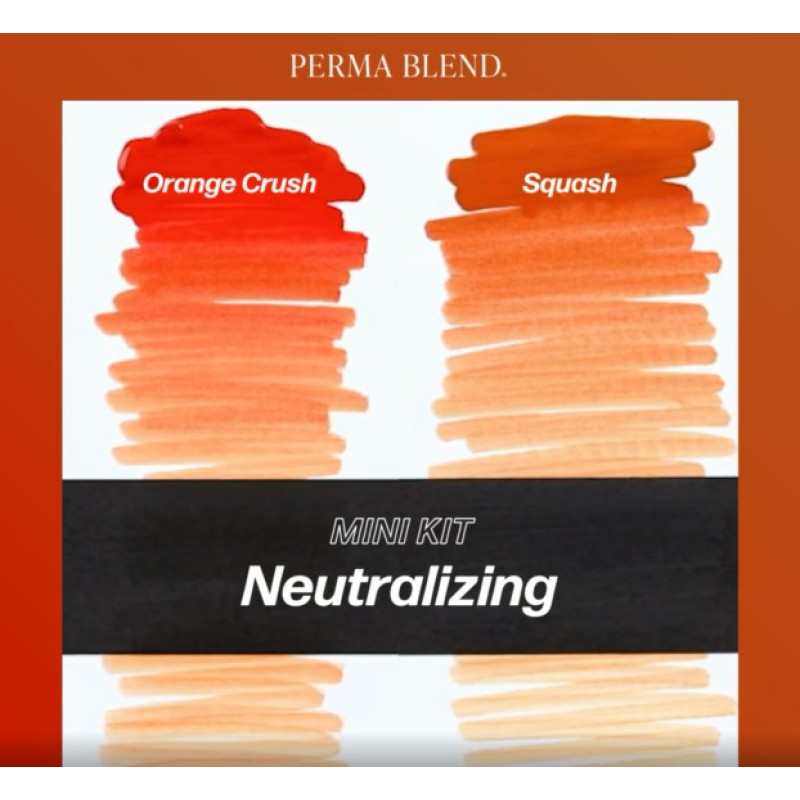 Набір для татуажу Perma Blend - Neutralizing Mini Set