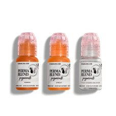 Набір для татуажу Perma Blend - Warm Modifier Eyebrow Mini Set