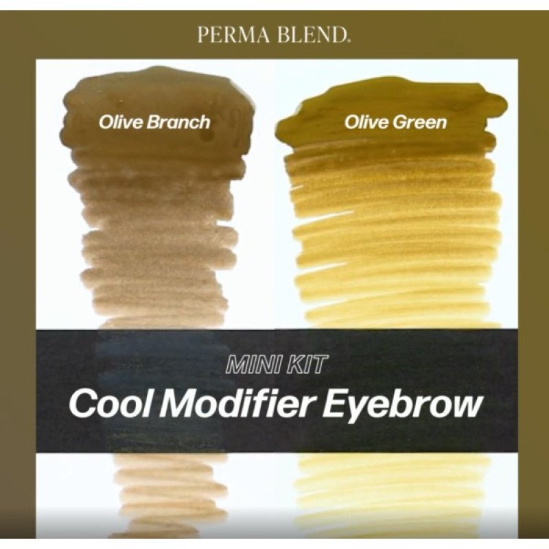 Набір для татуажу Perma Blend - Cool Modifier Eyebrow Mini Set