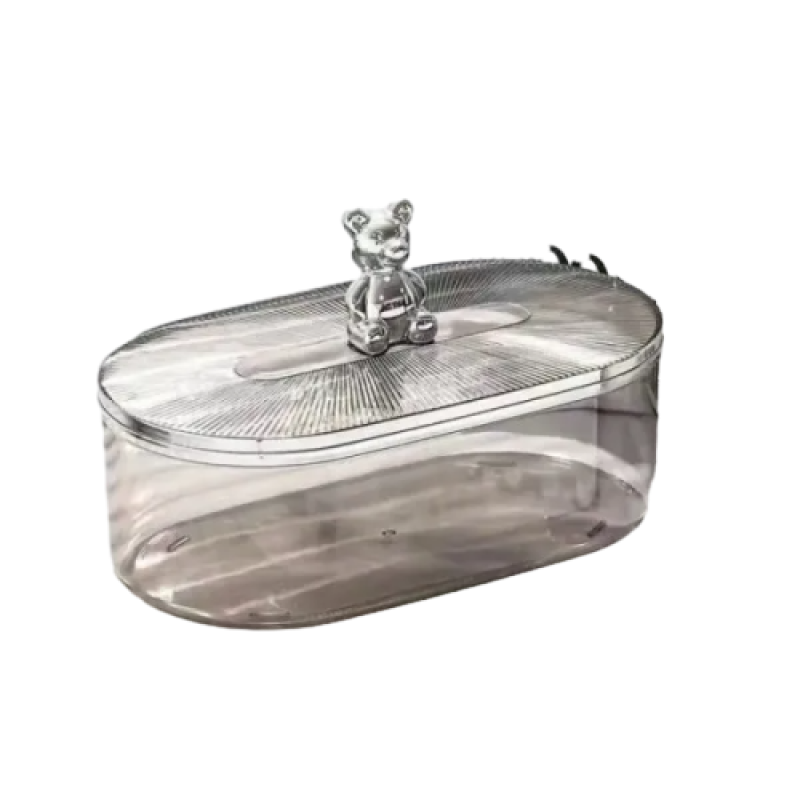 Бокс для зберігання Silver Micki