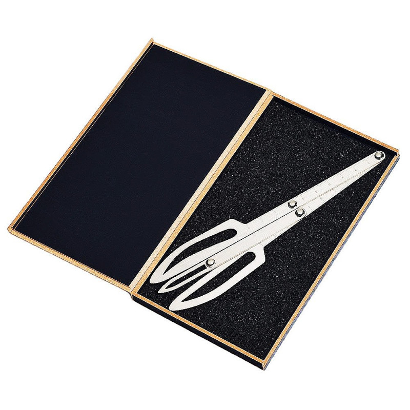 Циркуль Золотий перетин