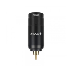 Wireless unit Mast U1 P113