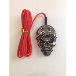 Metal pedal with Skull