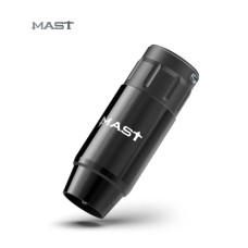 Mast P112 wireless unit