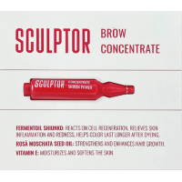 Засіб для догляду за бровами CONCENTRATE SHIKON POWER ампула SCULPTOR